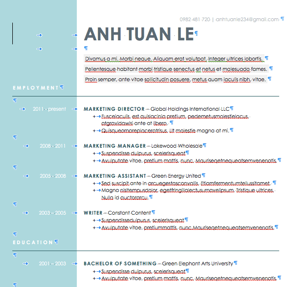 Screen Shot 2017-01-12 at 10.01.28 am.png