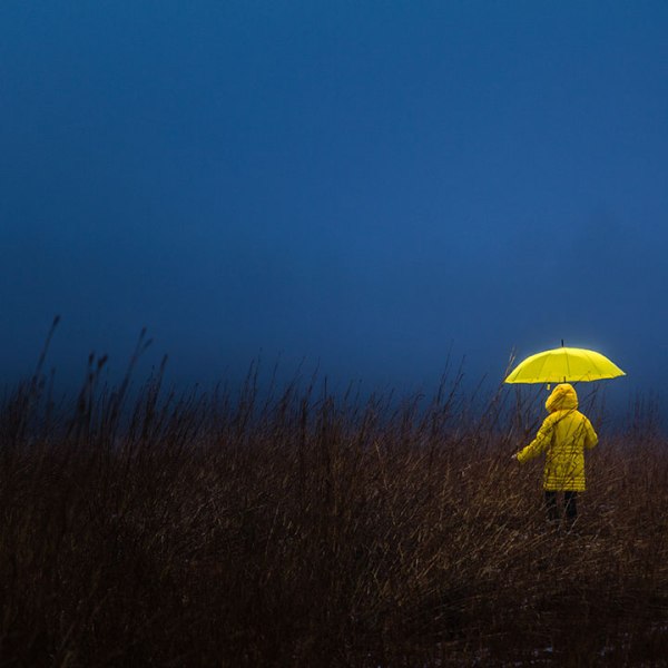 5 cách để vượt qua kiệt sức, nỗi sợ nghề nghiệp và đứng vững giữa thời buổi hỗn&nbsp;loạn