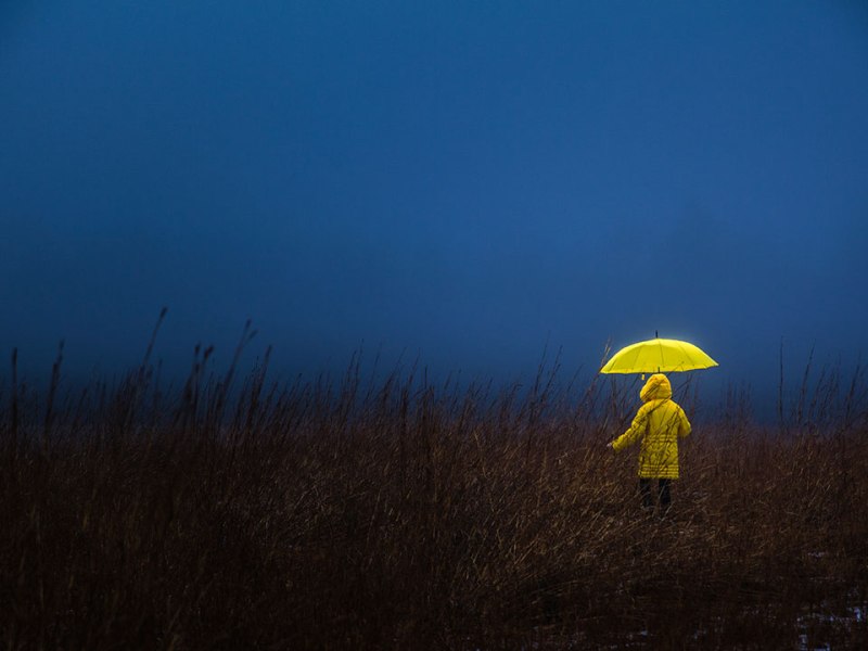 5 cách để vượt qua kiệt sức, nỗi sợ nghề nghiệp và đứng vững giữa thời buổi hỗn&nbsp;loạn