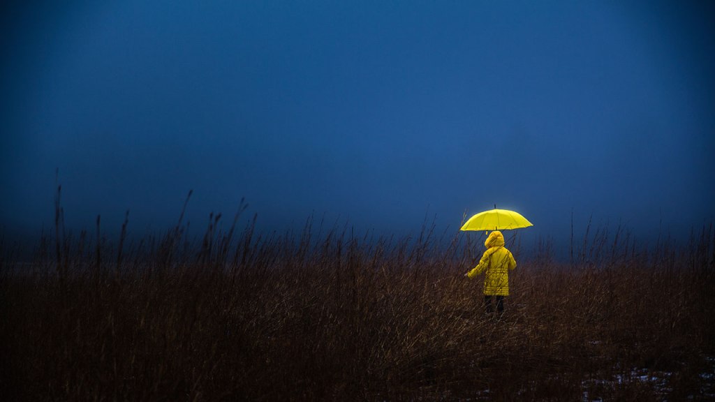 5 cách để vượt qua kiệt sức, nỗi sợ nghề nghiệp và đứng vững giữa thời buổi hỗn loạn